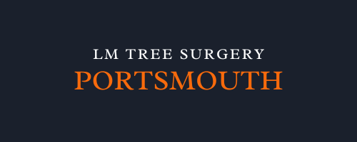 LM Tree Surgery Portsmouth